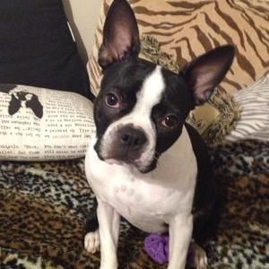 Meet your Posher, Martha